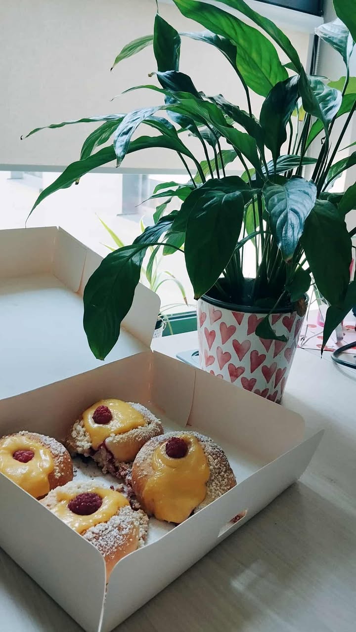 Najlepsza malinianka w Kaliszuw